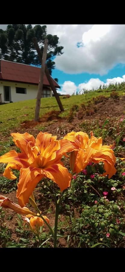 Chale Com Vidros E Hidromassagem Villa São Bento do Sapucaí Kültér fotó